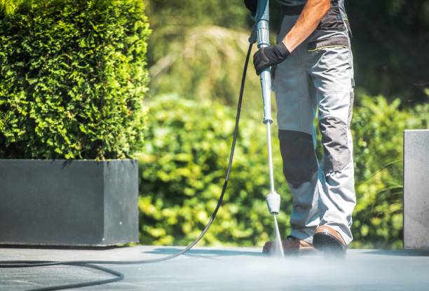 Boat and Dock Cleaning in Wilkinson Heights, SC